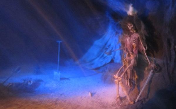 Never Stop Learning!